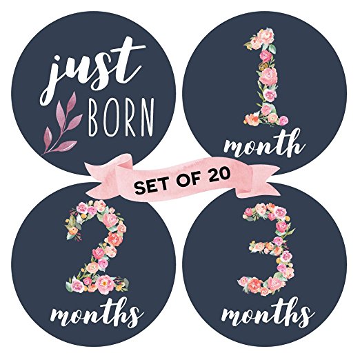 Floral Baby Monthly Milestone Stickers (Set of 20) - Birth to 12 Months   7 Bonus Achievement Stickers