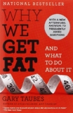 Why We Get Fat And What to Do About It