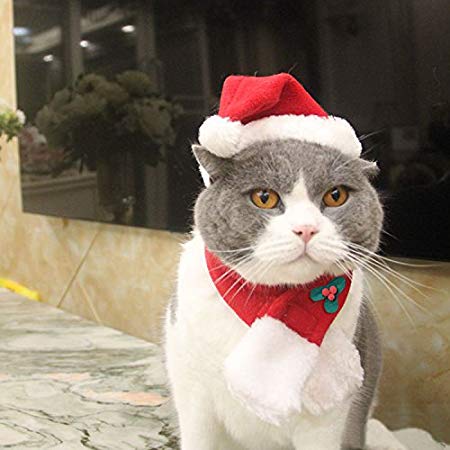 EXPAWLORER Christmas Cat Costume Santa Hats - Xmas Gift Hat with Scarf for Mini Dogs Puppy, Adorable and Warm