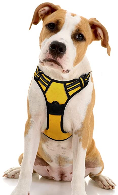 rabbitgoo Dog Harness, No-Pull Pet Harness with 2 Leash Clips, Adjustable Soft Padded Dog Vest, Reflective No-Choke Pet Oxford Vest with Easy Control Handle for Large Dogs, Moon Yellow (L, Chest 20.5-36")