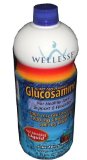 Wellesse Joint Movement Glucosamine With Chondroitin and Msm 338 fl oz 1000 ml Pack of 2
