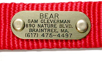 Quiet Collar Brass Pet ID Tag Custom Engraved (Message Seller with Engraving Information)