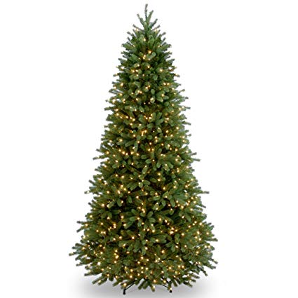 National Tree 6.5 Foot Jersey Fraser Fir Slim Tree