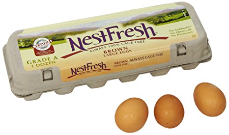 NestFresh Cage Free Brown Large Grade A Eggs, 12 ct