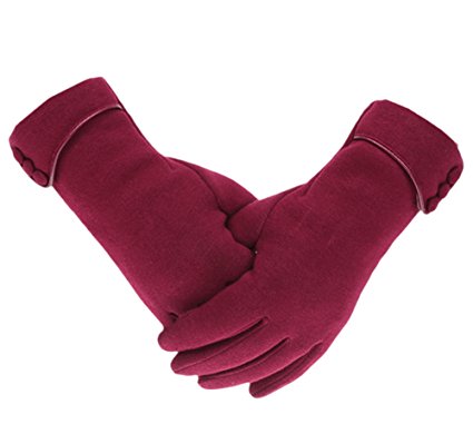 Knolee Women's Screen Gloves Warm Lined Thick Touch Warmer Winter Gloves