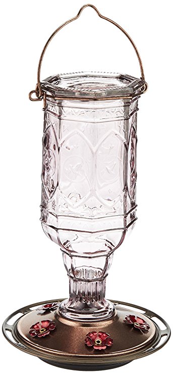 More Birds Hummingbird Feeder Vintage Amethyst Antique Glass Bottle, 23-Ounce Hummingbird Nectar Capacity