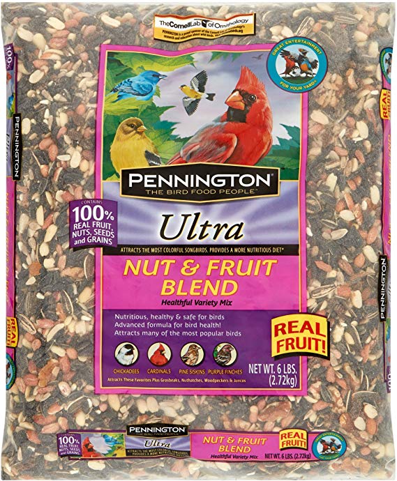 Pennington Ultra Premium Nut and Fruit Blend Bird Seed, 6 lbs