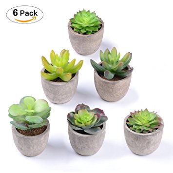 Artificial Succulent Plants - Artiflr Set of 6 Fake Succulent Planter Faux Cacti Plants, Small Succulent Plants with Gray Pots for Home Decor