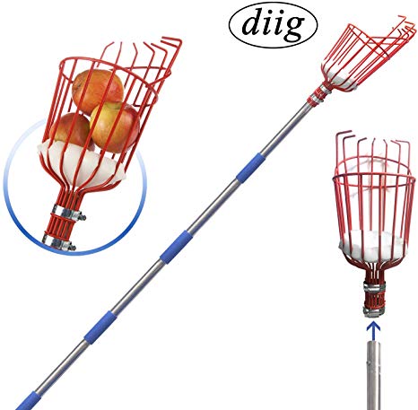 diig Fruit Picker, 8-Foot Fruit Picker Tool with Stainless Steel Connecting Pole, Fruit Picking Equipment for Getting Fruits Lemons, Apples, Guavas, Avocados, Pears, Mangoes, Oranges, Citrus