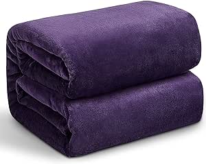 Hansleep Fleece Queen Blanket for Bed Fleece Purple, Queen Size Blanket Super Soft Flannel Fuzzy, Plush Cozy Blanket for All Seasons, Purple, Queen 90x90 Inches