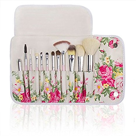 Professional 12 Pcs Makeup Cosmetics Brushes Set Kits with Rose Pattern Case (Pink Handle)