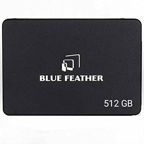 Blue Feather 128 GB SSD 2.5 inch SATA III & SATA II Internal SSD for Desktop Laptop Or Gaming PC, 5 Years Replacement Warranty Solid State Drive