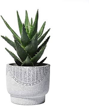 Cement Planter Pots for Plants - POTEY 056601 5.5 Inch Concrete Planter Indoor Planter with Drainage Hole for Bonsai Plants Flower Aloe Indoor Home Decor(Plants Not Included)