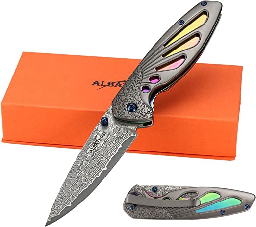 ALBATROSS HGDK026 Practical Sharp Modern Damascus Steel Folding Pocket Knife with Liner Lock for Every Day Use,Gifts/Collections