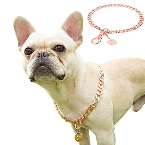 JYHY Stainless Steel P Chock Metal Chain Dog Necklace Collars Walking Training Pet Supplies for Small Medium Large Dogs