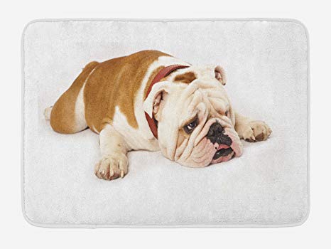 Ambesonne English Bulldog Bath Mat, Sad and Tired Bulldog Laying Down European Pure Breed Animal Photography, Plush Bathroom Decor Mat with Non Slip Backing, 29.5 W X 17.5 W Inches, Cream Brown