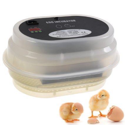 9~12 Eggs Egg Incubator Digital Automatic Turning Hatcher Temperature Control