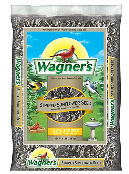 Wagner's 62028 Striped Sunflower Seed, 5-Pound Bag