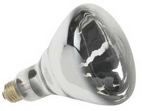 Replacement Pool Light Bulb - 500W/120V