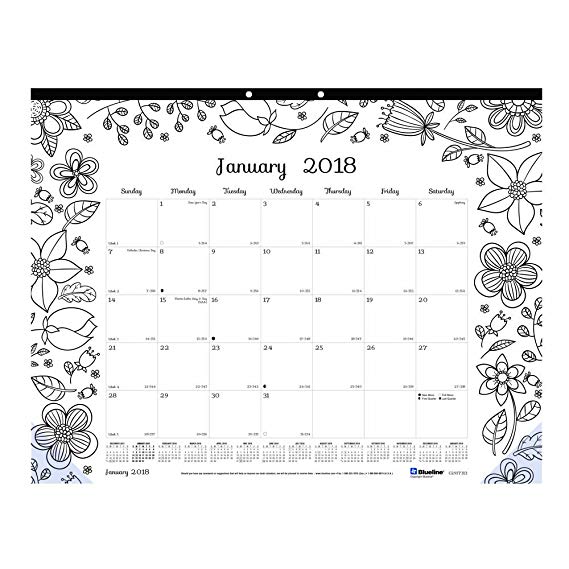 Blueline 2019 DoodlePlan Monthly Coloring Desk Pad Calendar, Garden designs, January to December, 22 x 17 inches (C2917313-19)