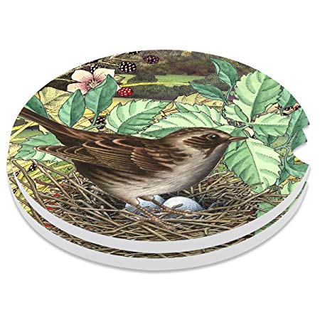 Car Coasters Pack of 2, Small 2.56" Stone Car Cupholder Absorbent Coaster Set for Women Men Drink Cup Holder Coasters (Birds Mother)