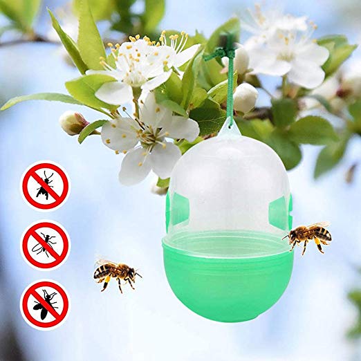 Quaanti 3X Hornets Trap Bee Catcher Home Garden Hanging Wasp Trap No Poison Chemical Free Bee Bug Harmless Fly Catcher Insect Traps (Green)