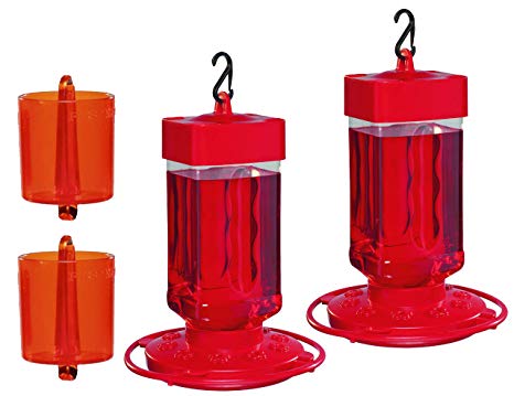 First Nature 3055 32-Ounce Hummingbird Feeder (2 Feeders with 2 Ant Guards)