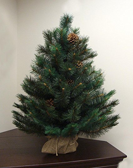 3' x 23" Royal Oregon Long Needle Pine Artificial Christmas Tree in Burlap Base - Unlit