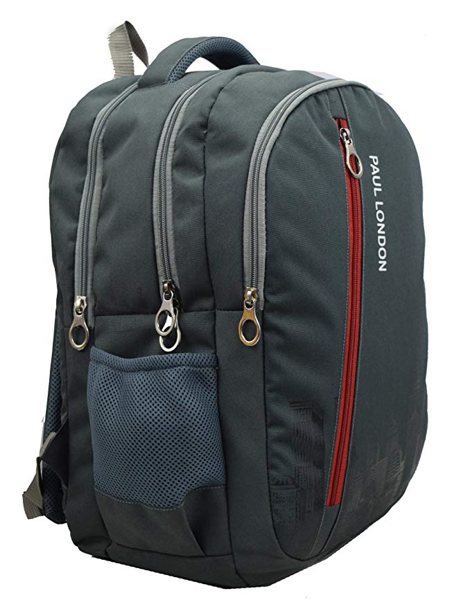 Paul London Pixel 35 Ltrs Backpack,Grey