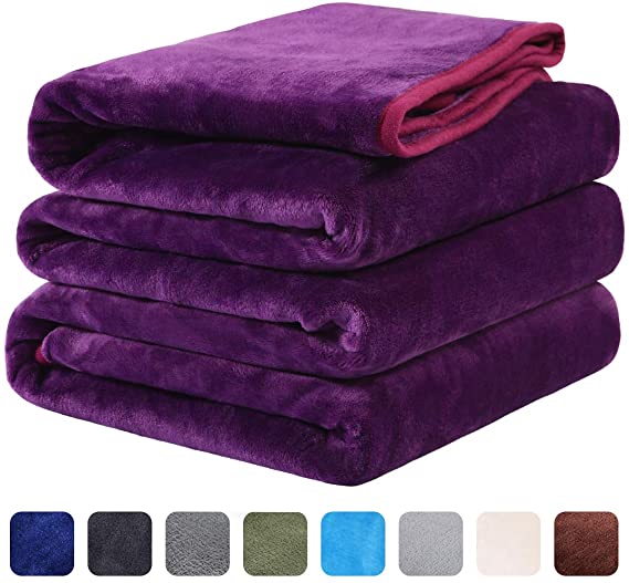 LEISURE TOWN Fleece Blanket Queen King Twin Throw Size Soft Summer Cooling Breathable Luxury Plush Travel Camping Blankets Lightweight for Sofa Couch Bed (Plum, Queen (90" x 90"))