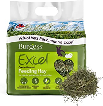 Burgess Excel Green Harvest Hay, 1 kg