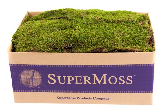 SuperMoss (21508) Sheet Moss Preserved, Fresh Green, 5lbs (20-24 sq. ft.)