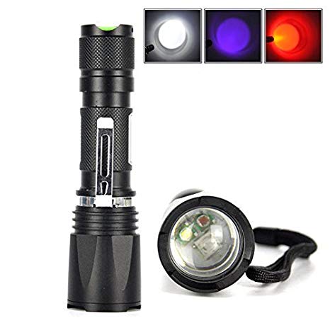WindFire B3 [3 in 1] Zoomable 3 x Cree LED Blubs White Red UV Light Flashlight Hunting Torch Lamp UV Ultraviolet Inspection BlackLight 3 Modes for Cat-Dog-Pet Urine Detector (18650 Battery Included)
