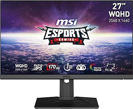 MSI G272QPF 27 Inch WQHD Gaming Monitor - 2560 x 1440 Rapid IPS Panel, 170 Hz / 1ms GtG, 120.22% sRGB Colour Gamut, G-SYNC compatible - DP 1.2a, HDMI 2.0b CEC, Anti-Flicker, Less Blue light, Black