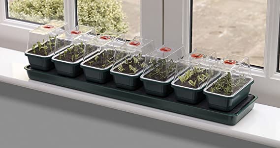 Garland Super 7 Self-Watering Windowsill Propagator, Green, 90x20x20 cm