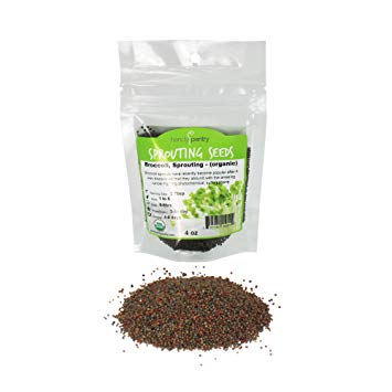 Organic Broccoli Sprouting Seeds By Handy Pantry | 4 oz. Resealable Bag | Non-GMO Broccoli Sprouts Seeds, Contain Sulforaphane