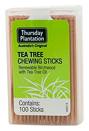 Nature's Plus Tea Tree Thursday Plantation Toothpicks, 100 Count