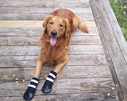 All Weather Neoprene Paw Protector Dog Boots with Reflective Velcro Straps in 5 Sizes!