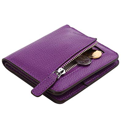 Dante Women's RFID Blocking Small Compact Bifold Leather Pocket Wallet Ladies Mini Purse with id Window