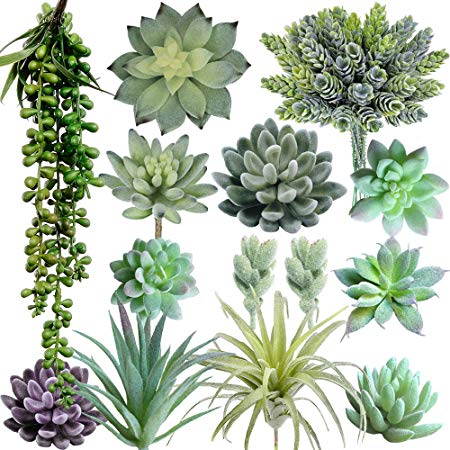 Supla Pack of 14 Artificial Fake Succulent Plants Unpotted String of Pearls Echeveria Succulent Picks in Flocked Green in Different Type Different Size for Floral Arrangement