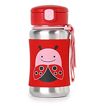 Skip Hop Kids Water Bottle With Straw, Stainless Steel Sippy Cup, Ladybug