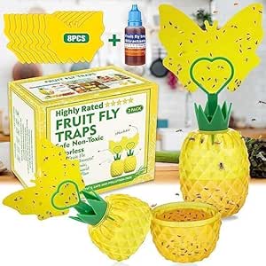 Fruit Fly Traps with 8Pcs Sticky Pads,Gnat Traps with Bait Non-Toxic Fruit Fly Traps for Indoors Outdoor Odorless Fly Catcher Gnat Fruit Flies Trap Fly Insect Trap for Plant House Kitchen(2 Pack)