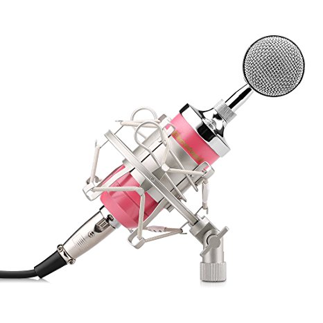 Excelvan BM 8000 Condenser Sound Studio Recording Broadcasting Microphone Pop Filter Shock Mount