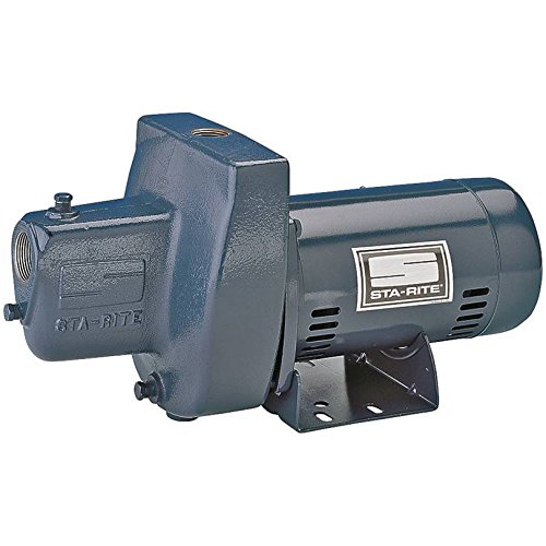 Pentair SNE-L 1 HP 115/230 Volt Shallow Well Jet Pump