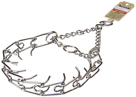 Chain Pinch Dog Collar