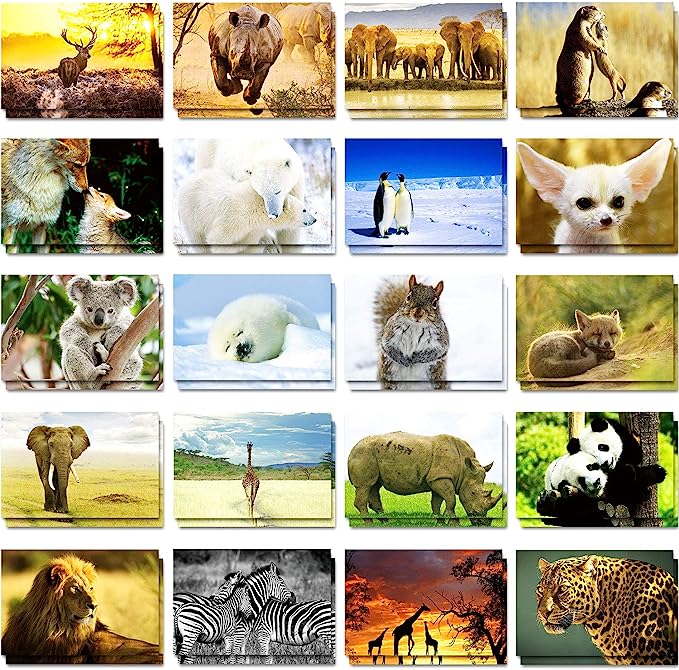 Outus 60 Pieces Wild Animal Postcards Animal Themed Blank Postcards Pandas Lions Polar Bears Penguins Elephants Giraffes Animal Greeting Postcards for Kids Teachers, 4 x 6Inches, 20 Styles