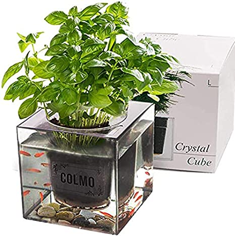 Aquaponic Fish Tank - Hydroponic Garden Clear Planting Growing System Planting Pot Fish Bowl Compressed Soil Planting Kit Suitable for Small Fish and Planting