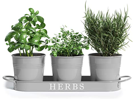 Barnyard Designs Herb Pot Planter Set with Tray for Indoor Garden or Outdoor Use, Decorative Cool Grey Metal Succulent Potted Planters for Kitchen, (Set of 3, 4.25” x 4” Planters on 12.5” x 4" Tray)