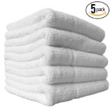 5-Pack SPECIAL SALE THE RAG COMPANY 16 x 16 Everest 800 Double-Plush Professional Korean 7030 Microfiber Detailing Towels