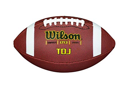 Wilson Composite Football